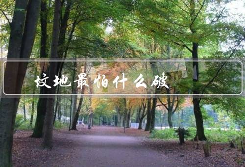 坟地最怕什么破风水（位置、形状、墓碑风水）
