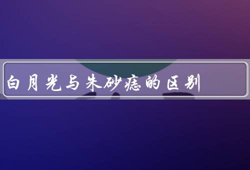 白月光与朱砂痣的区别，白月光／朱砂痣／两者的区别