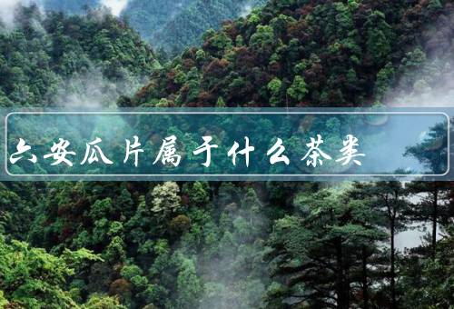 六安瓜片属于什么茶类，历史渊源／外形特点／口感特点