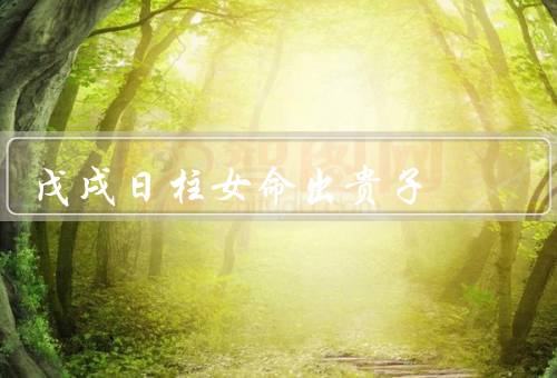 戊戌日柱女命出贵子，聪慧智慧／事业成就／家庭幸福