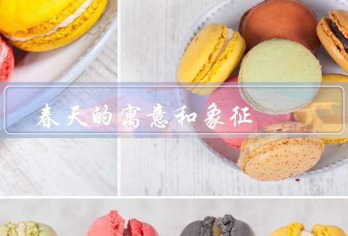 春天的寓意和象征，花开／春风／阳光