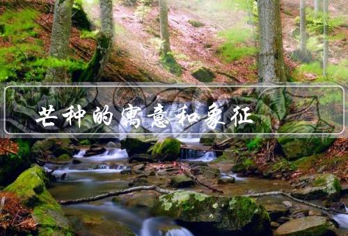 芒种的寓意和象征（丰收的希望、生命力的象征、努力与付出）