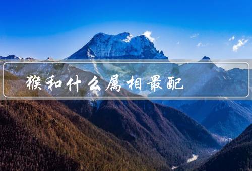 猴和什么属相最配，属猴的人特点／属鸡的人特点／猴与鸡的组合优势