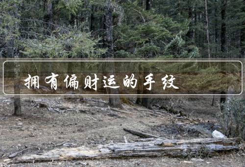 拥有偏财运的手纹（表现形式／意义／利用偏财运提升财运）