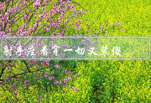 射手座看穿一切又装傻（眼中钉／爱情策略／人际关系）