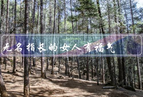 无名指长的女人有福气，无名指长的女人受到宠爱、幸福美满的婚姻