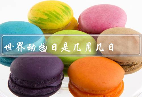 世界动物日是几月几日（起源／意义／影响）