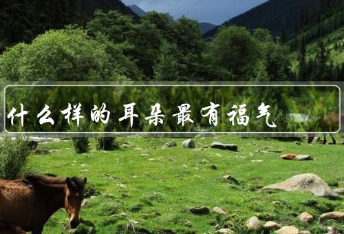 什么样的耳朵最有福气（优美的听力／聆听他人／保护与关爱）