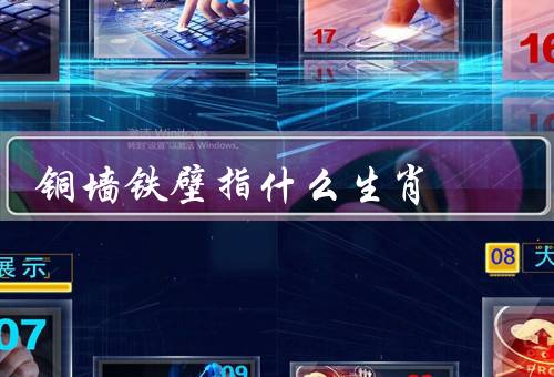 铜墙铁壁指什么生肖，龙、虎、狮子