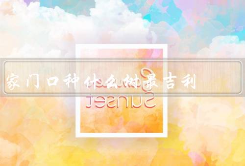 家门口种什么树最吉利（桂花树／梅花树／柚子树）