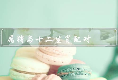 属猪与十二生肖配对（鼠／牛／虎）