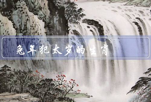 兔年犯太岁的生肖，原因／应对之策／结语