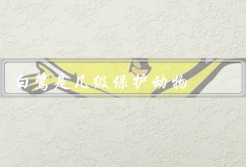 白鹭是几级保护动物，保护状况／生活习性／人们对保护努力