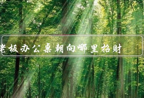 老板办公桌朝向哪里招财（南、朝向东、西）