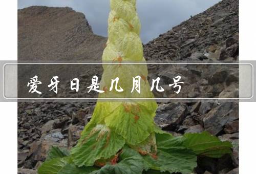 爱牙日是几月几号（由来／意义／如何过一个有意义）