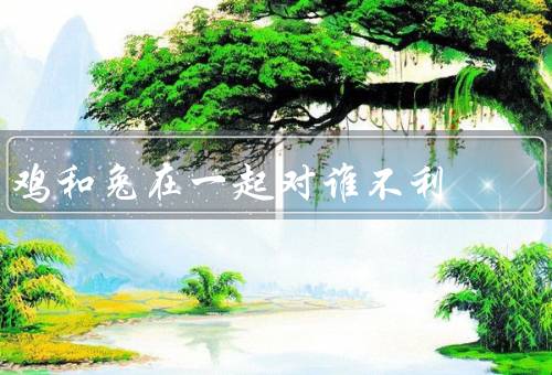 鸡和兔在一起对谁不利（受到竞争／容易受到伤害／生育受限）