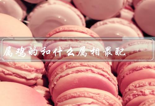 属鸡的和什么属相最配（属鸡的人／属蛇的人／结语）