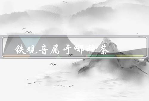 铁观音属于哪种茶（起源／特点／冲泡方法）