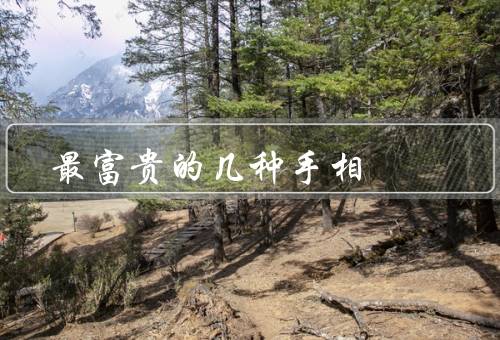 最富贵的几种手相（双鱼纹／财富三角形／旺夫纹）