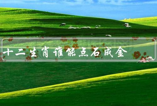十二生肖谁能点石成金（老鼠、龙、猴）