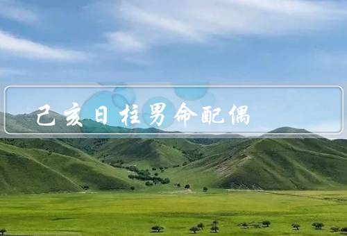 己亥日柱男命配偶，命主的性格特点／配偶的特点／婚姻与家庭
