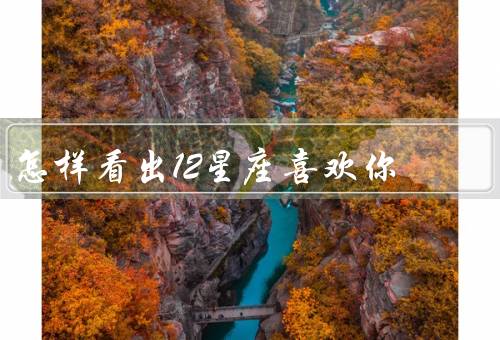 怎样看出12星座喜欢你，眼神交流／主动接触／特别关注