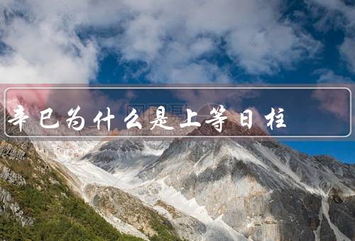 辛巳为什么是上等日柱，位置特殊／五行属性适合／具有独特性格特点