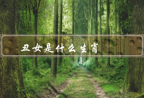 丑女无敌是什么生肖（内外兼修、启示）