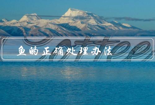 死鱼的正确处理办法，方式、注意事项、环保方法