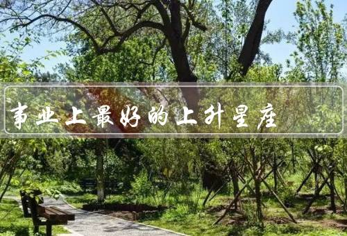 事业上最好的上升星座，天秤座／狮子座／射手座