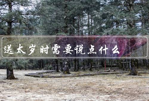 送太岁时需要说点什么，祈求太岁保佑／表达敬意和感谢／感恩与祝福