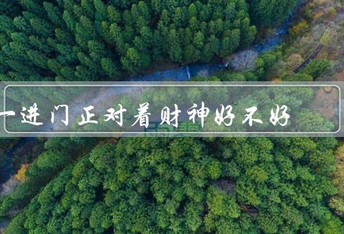 一进门正对着财神好不好（摆放像好处、注意事项、负面影响）