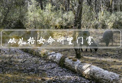 从儿格女命叫望门寡，起源／困境／奋斗与机遇