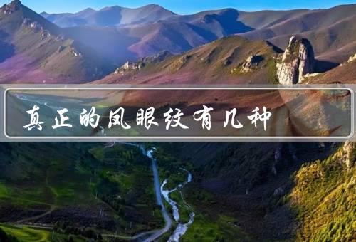 真正的凤眼纹有几种，第一种、第二种、第三种