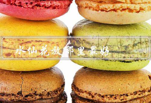 水仙花放哪里最好风水，卧室／客厅／书房