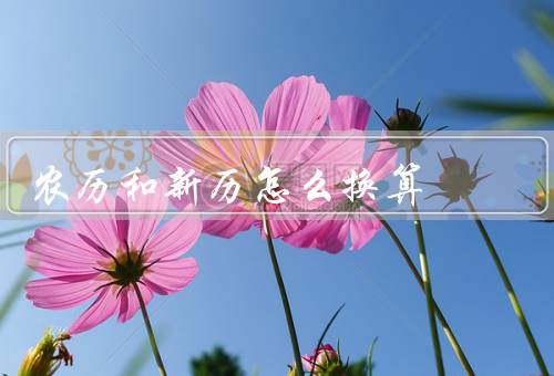 农历和新历怎么换算（和新历的基本概念／到新历的方法）