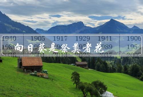 向日葵是祭奠死者花（历史渊源、传统用途、象征意义）