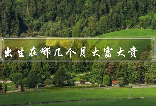 鼠出生在哪几个月大富大贵，寅月、申月、在亥月