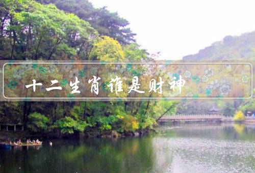 十二生肖谁是财神（聪明才智、机智灵活、财神象征）