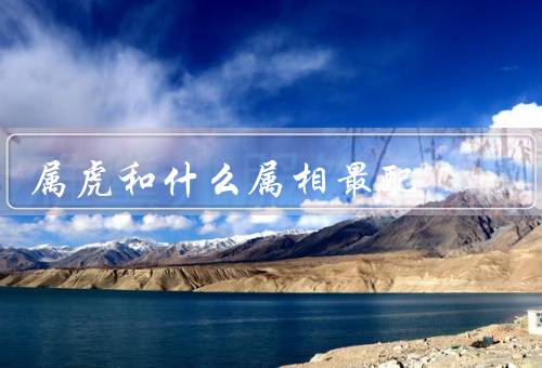 属虎和什么属相最配，属虎和属狗的组合／共同的价值观／互补的优势