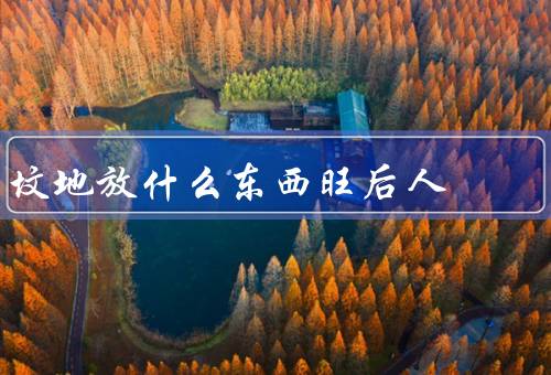 坟地放什么东西旺后人，祭品和纸钱、花卉和绿植、祈福牌位和神像