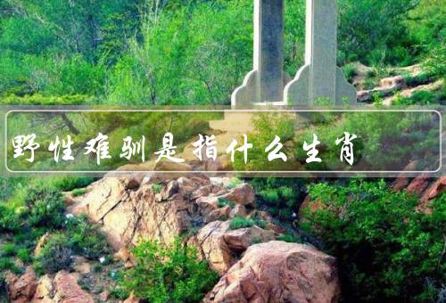 野性难驯是指什么生肖（性格特点／职业选择／爱情观念）
