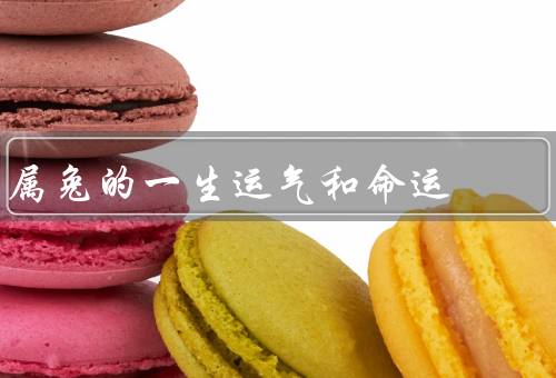 属兔的一生运气和命运，性格特点、事业与财运、爱情和家庭