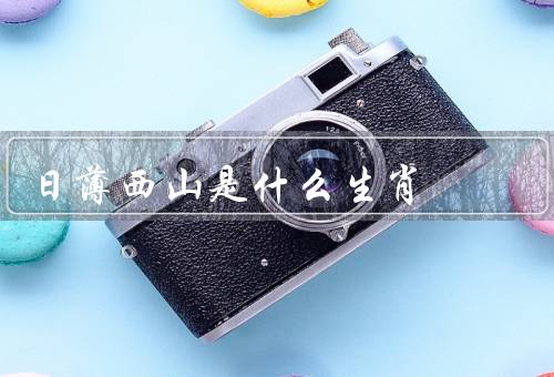日薄西山是什么生肖，特点、运势、爱情与婚姻