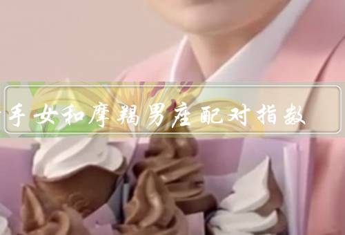 射手女和摩羯男座配对指数，不同的人生态度、价值观的差异