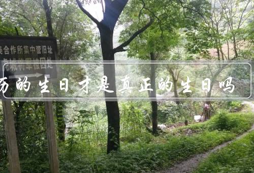 农历的生日才是真正的生日吗，个人命运、家族传承、祖先崇拜
