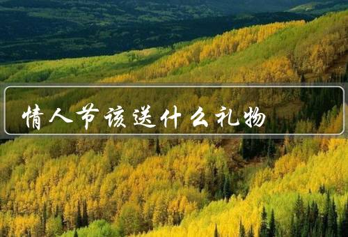 情人节该送什么礼物，礼物的个性化定制、浪漫的约会、心意礼物
