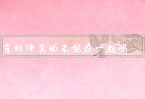 生肖相冲真的不能在一起吗（起源、影响、和谐共处）