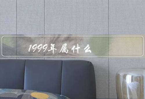 1999年属什么，经济、文化