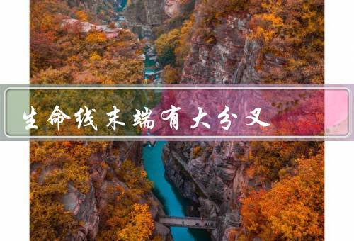 生命线末端有大分叉，含义／影响／建议